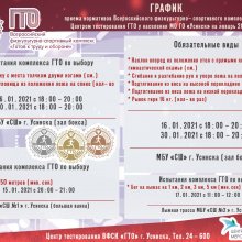 Основные испытания комплекса ГТО на январь 2020 года