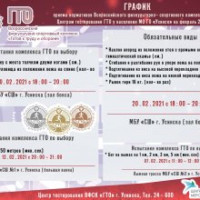 Основные испытания комплекса ГТО на февраль 2021 года