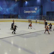 ПЕРВЕНСТВО РЕСПУБЛИКИ КОМИ ПО ХОККЕЮ С ШАЙБОЙ СРЕДИ ЮНОШЕЙ ДО 12 ЛЕТ В СЕЗОНЕ 2021/2022