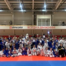 НОВОГОДНИЙ ТУРНИР «КРЕПЫШ» ПО БОРЬБЕ ДЗЮДО СРЕДИ ЮНОШЕЙ И ДЕВУШЕК 2010-2011, МАЛЬЧИКОВ И ДЕВОЧЕК 2012-2013 Г.Р.