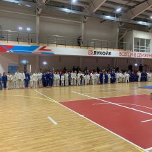НОВОГОДНИЙ ТУРНИР «КРЕПЫШ» ПО БОРЬБЕ ДЗЮДО СРЕДИ ЮНОШЕЙ И ДЕВУШЕК 2010-2011, МАЛЬЧИКОВ И ДЕВОЧЕК 2012-2013 Г.Р.