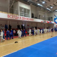 НОВОГОДНИЙ ТУРНИР «КРЕПЫШ» ПО БОРЬБЕ ДЗЮДО СРЕДИ ЮНОШЕЙ И ДЕВУШЕК 2010-2011, МАЛЬЧИКОВ И ДЕВОЧЕК 2012-2013 Г.Р.