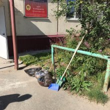Коллектив "Центра спортивных мероприятий" подключился к очистке и облагораживанию территории!
