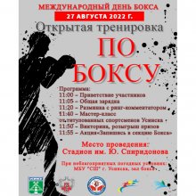 27 августа - международный день бокса!