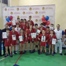 Ряд соревнований по самбо в рамках федерального проекта «Спорт - норма жизни» национального проекта «Демография»