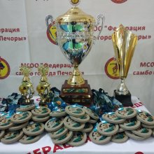 Ряд соревнований по самбо в рамках федерального проекта «Спорт - норма жизни» национального проекта «Демография»