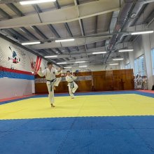 ОТКРЫТЫЙ ГОРОДСКОЙ ТУРНИР ПО ТХЭКВОНДО ИТФ