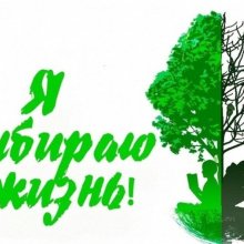 ПОРЯДОК ДЕЙСТВИЙ ПРИ ВЫЯВЛЕНИИ ПРАВОНАРУШЕНИЙ В СФЕРЕ НЕЗАКОННОГО ОБОРОТА НАРКОТИЧЕСКИХ СРЕДСТВ, ПСИХОТРОПНЫХ ИЛИ СИЛЬНОДЕЙСТВУЮЩИХ ВЕЩЕСТВ