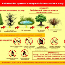 Важно помнить, что основным виновником лесных пожаров является человек