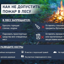ВАЖНО! ЛЕСНЫЕ ПОЖАРЫ!