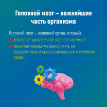 В РЕСПУБЛИКЕ КОМИ НАЧАЛАСЬ НЕДЕЛЯ СОХРАНЕНИЯ ЗДОРОВЬЯ ГОЛОВНОГО МОЗГА