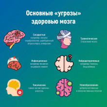 В РЕСПУБЛИКЕ КОМИ НАЧАЛАСЬ НЕДЕЛЯ СОХРАНЕНИЯ ЗДОРОВЬЯ ГОЛОВНОГО МОЗГА