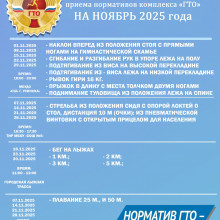 ГРАФИК ПРИЕМА НОРМАТИВОВ ВФСК "ГТО" НА НОЯБРЬ 2025 г.