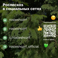 Правила пожарной безопасности