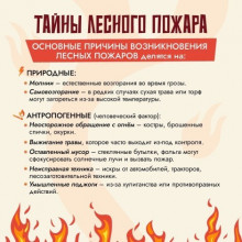 «Бережем природу от пожаров»