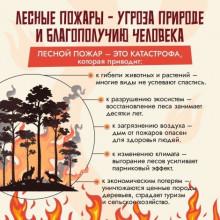 «Бережем природу от пожаров»