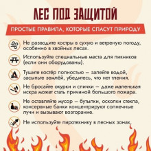 «Бережем природу от пожаров»