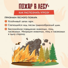 «Бережем природу от пожаров»