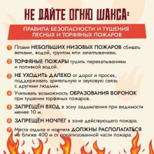 «Бережем природу от пожаров»